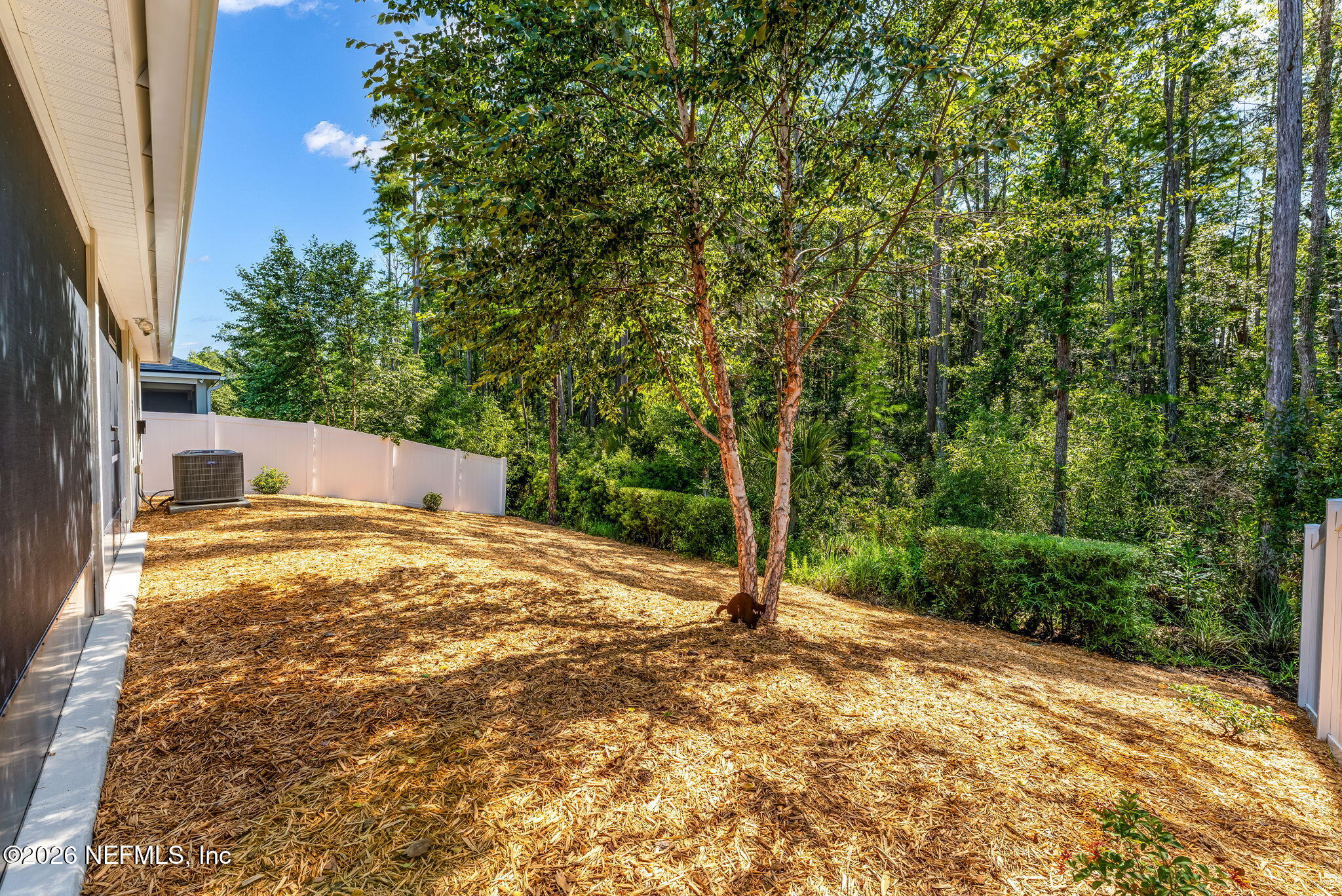 104 Falcon Road St. Augustine, FL 32086 - Photo 16 of 55 43-web-or-mls-Backyard