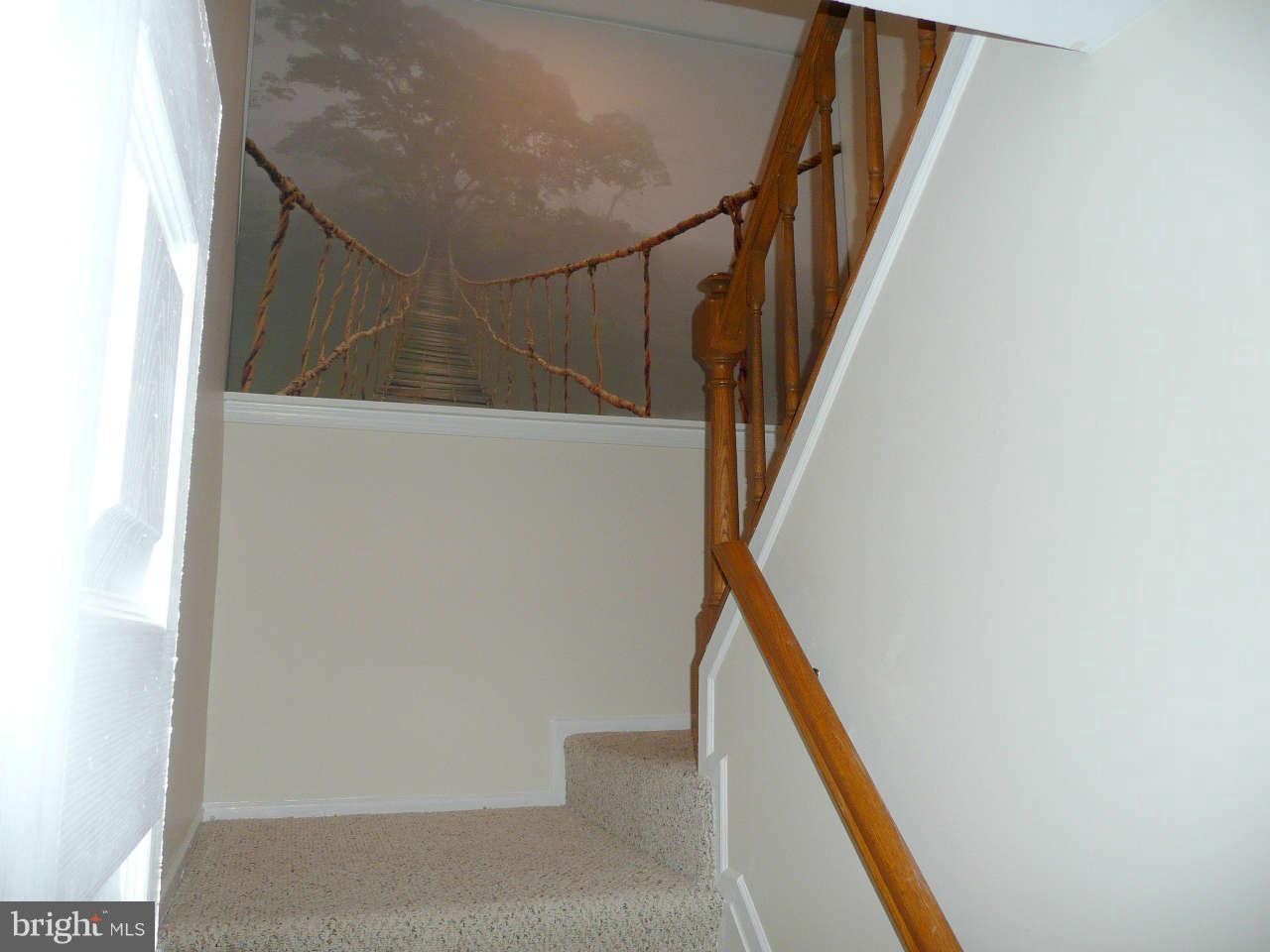 5952 Powell's Landing Road Burke, VA 22015 - Photo 23 of 25 Interior (General)