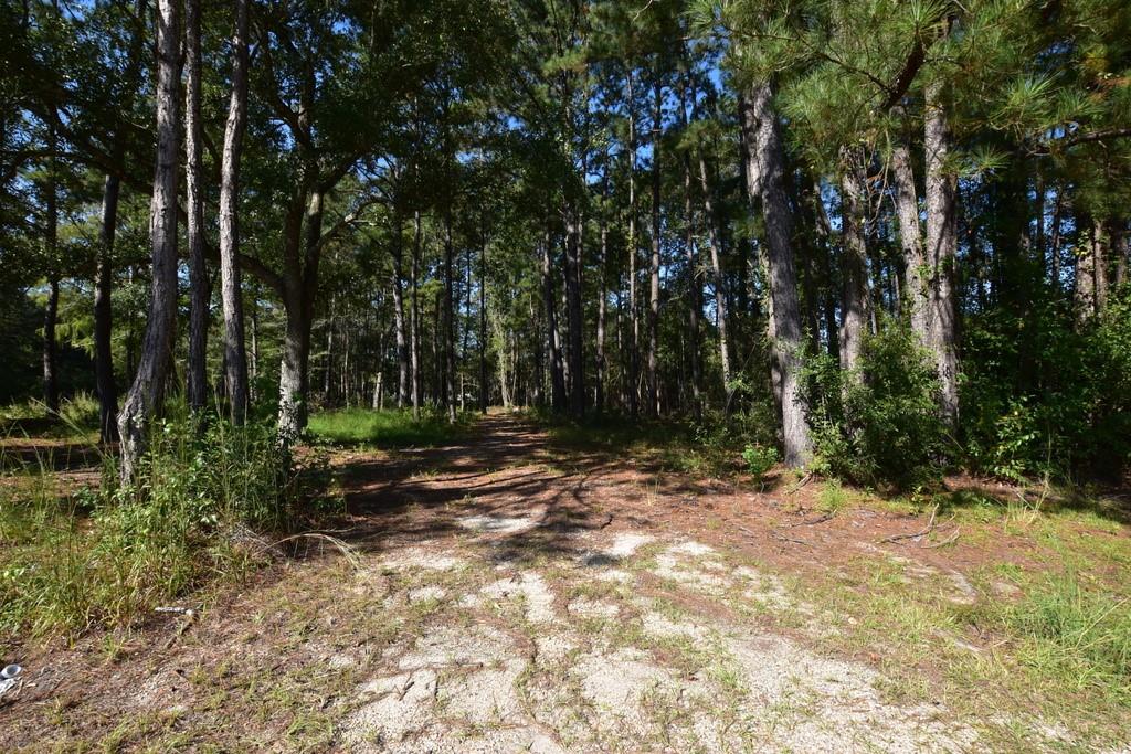 66299 Chris Kennedy Road Pearl River, LA 70452 - Photo 2 of 3