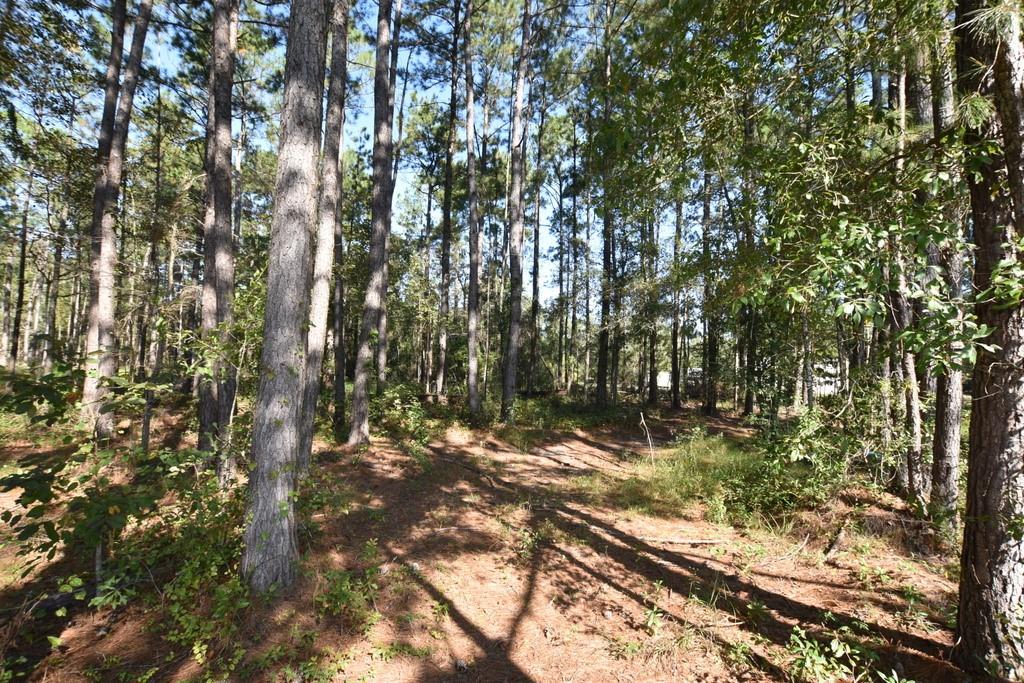 66299 Chris Kennedy Road Pearl River, LA 70452 - Photo 3 of 3