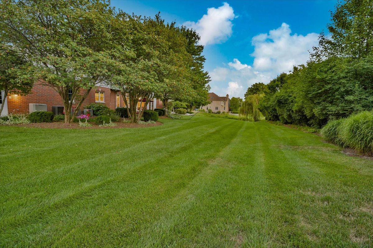 8010 Greenbriar Court Burr Ridge, IL 60527 - Photo 48 of 57 a view of a park with large trees