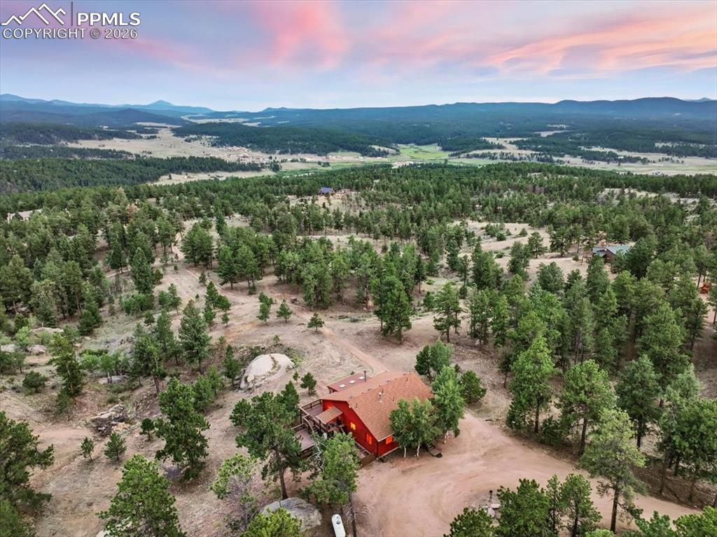 1721 Wildhorn Road Florissant, CO 80816 - Photo 20 of 48