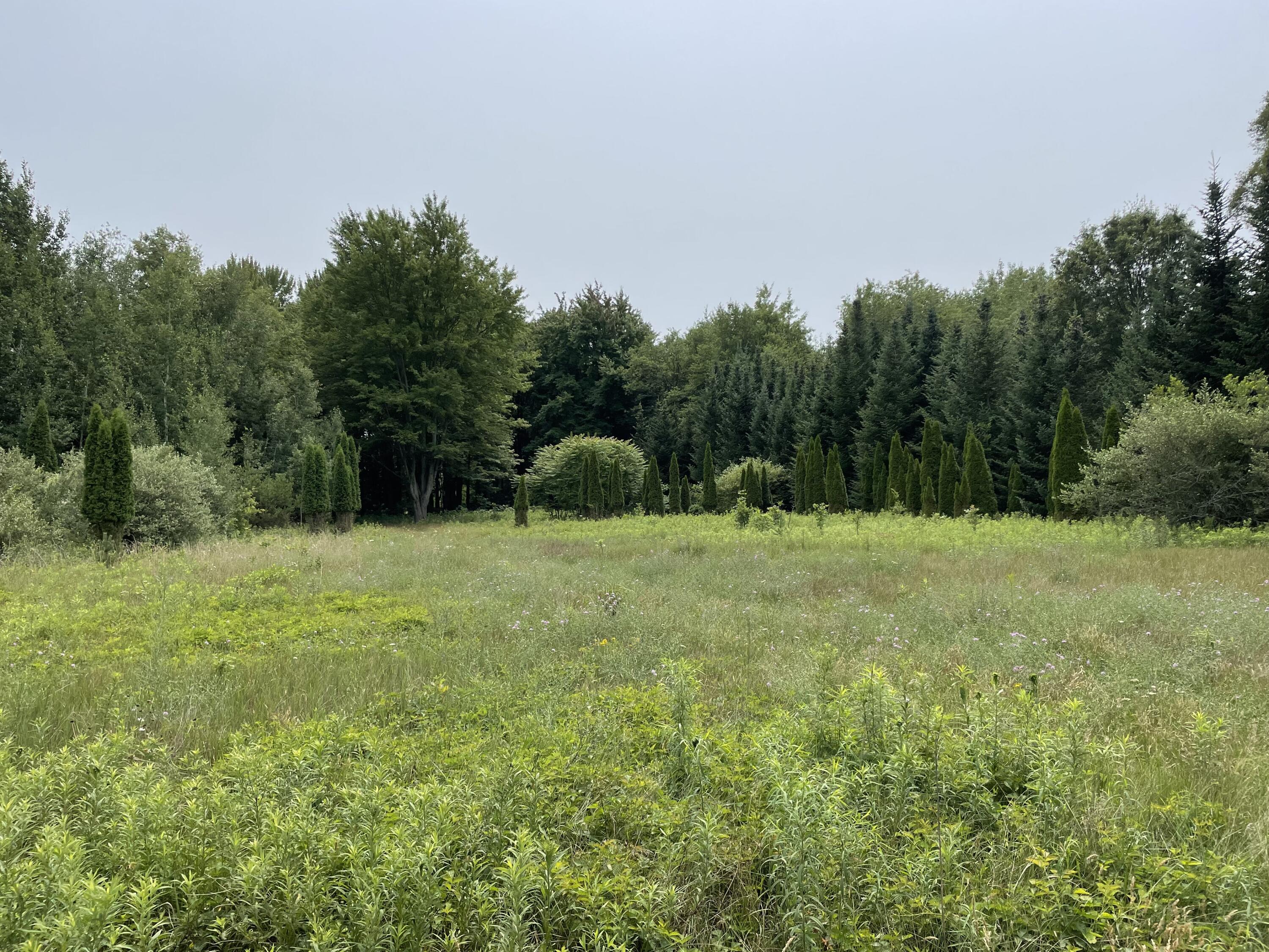 2959 East Ellis Road Muskegon, MI 49444 - Photo 4 of 21 IMG_2697