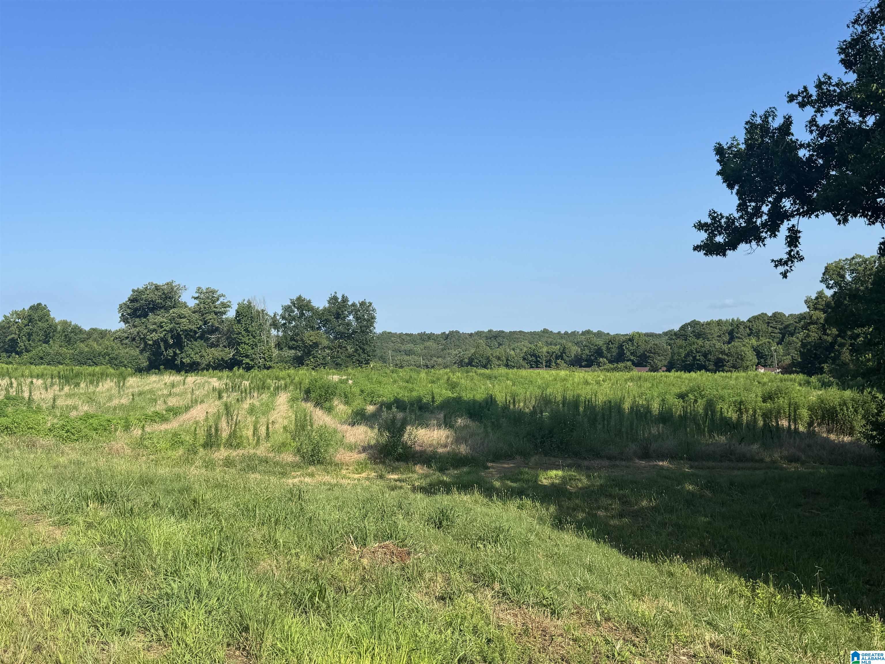 0 County Highway 27, Unit 47 Springville, AL 35146 - Photo 21 of 53