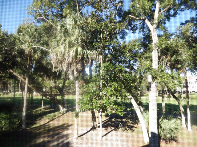 5 Gun Bluff Road Edisto Island, SC 29438 - Photo 24 of 59 19