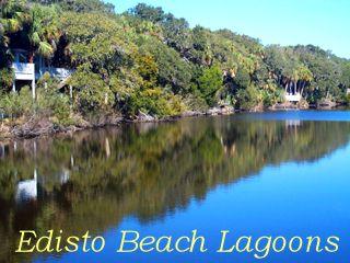 5 Gun Bluff Road Edisto Island, SC 29438 - Photo 41 of 59 beach lagoons