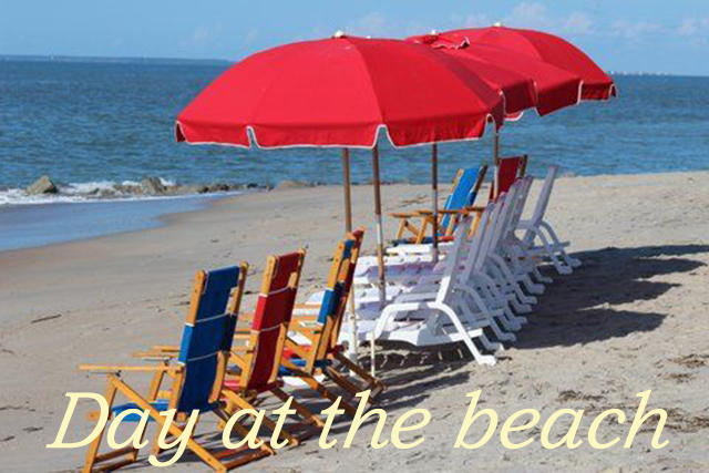 5 Gun Bluff Road Edisto Island, SC 29438 - Photo 46 of 59 day at the beach