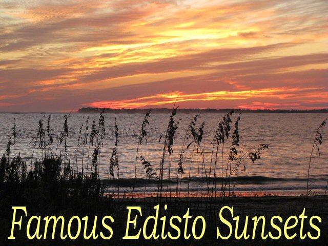 5 Gun Bluff Road Edisto Island, SC 29438 - Photo 48 of 59 famous_sunsets