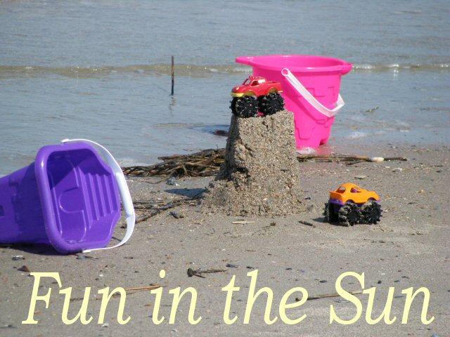 5 Gun Bluff Road Edisto Island, SC 29438 - Photo 49 of 59 fun in the sun