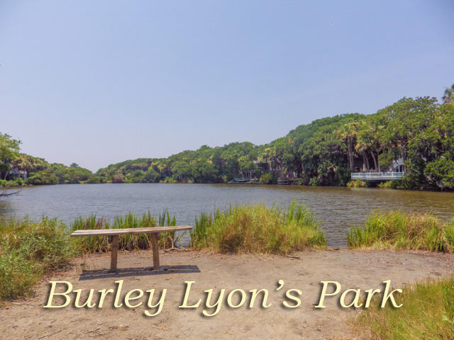 5 Gun Bluff Road Edisto Island, SC 29438 - Photo 50 of 59 608 Jungle Rd-19