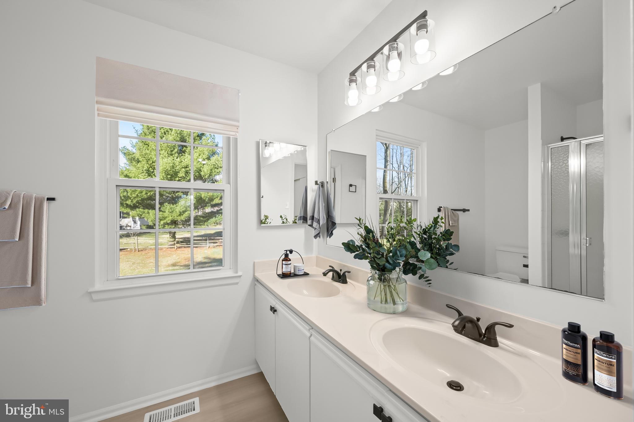 9344 Spring Water Path Jessup, MD 20794 - Photo 34 of 61 a bathroom with a sink and a mirror