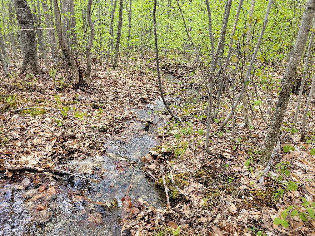 Lot 11 Swift River Road Byron, ME 04275 - Photo 31 of 72 photo_8053d337-c8a4-4a24-976d-e5f693c6a1