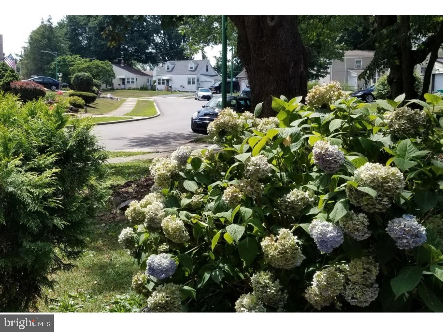 1321 Ardsley Road Swarthmore, PA 19081 - Photo 4 of 24 View