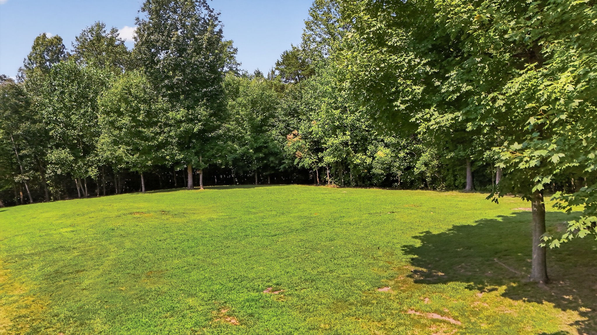 823 Oak Ridge Drive Springfield, TN 37172 - Photo 5 of 20 Gallery Image 5