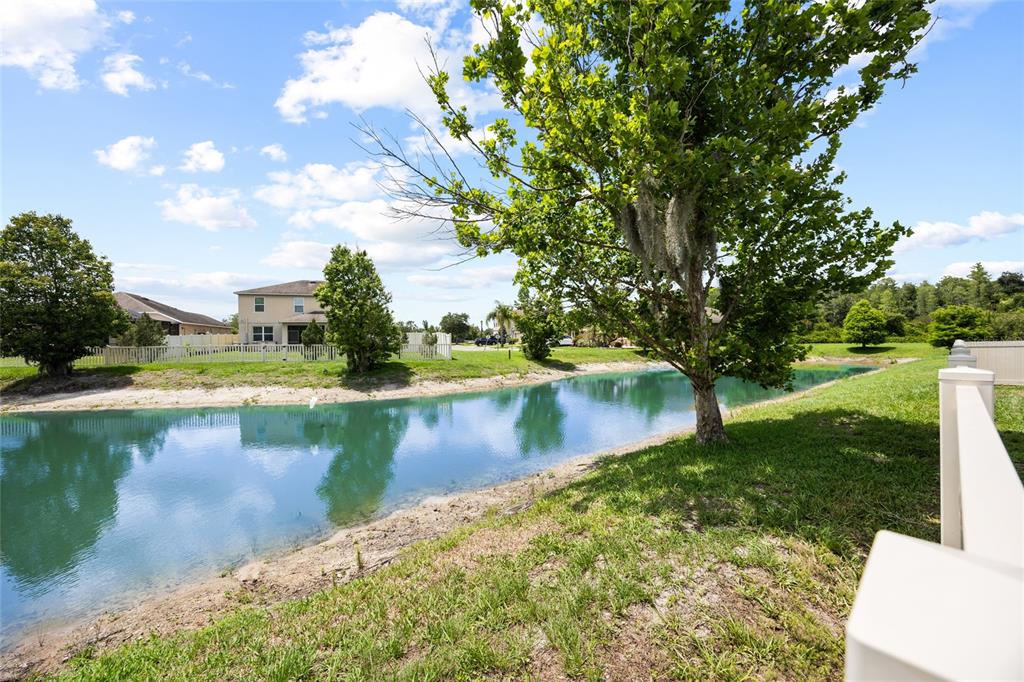 3851 Pacente Loop Wesley Chapel, FL 33543 - Photo 36 of 38