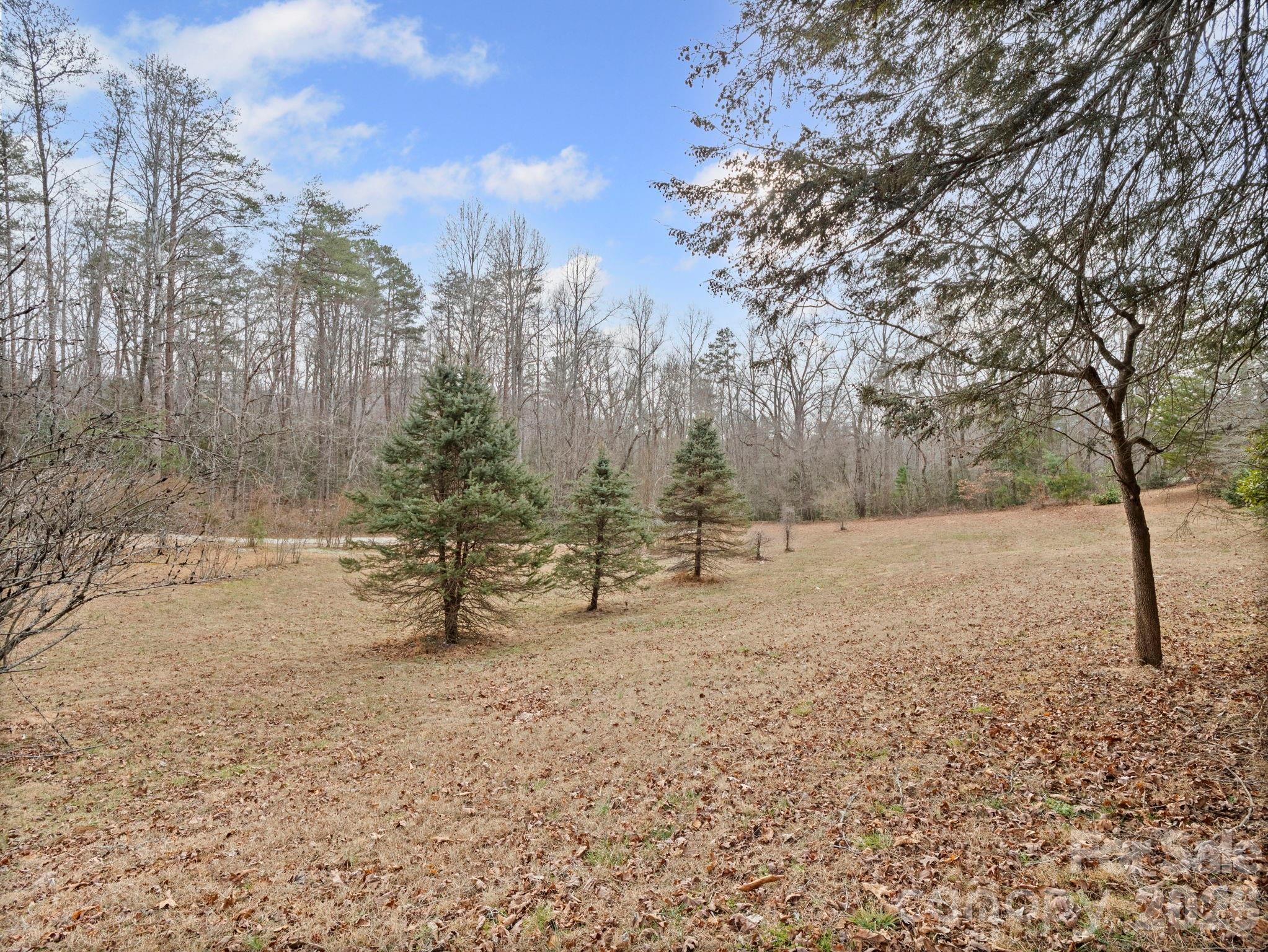 1526 Bills Creek Road Lake Lure, NC 28746 - Photo 1 of 25 a view of a yard with trees