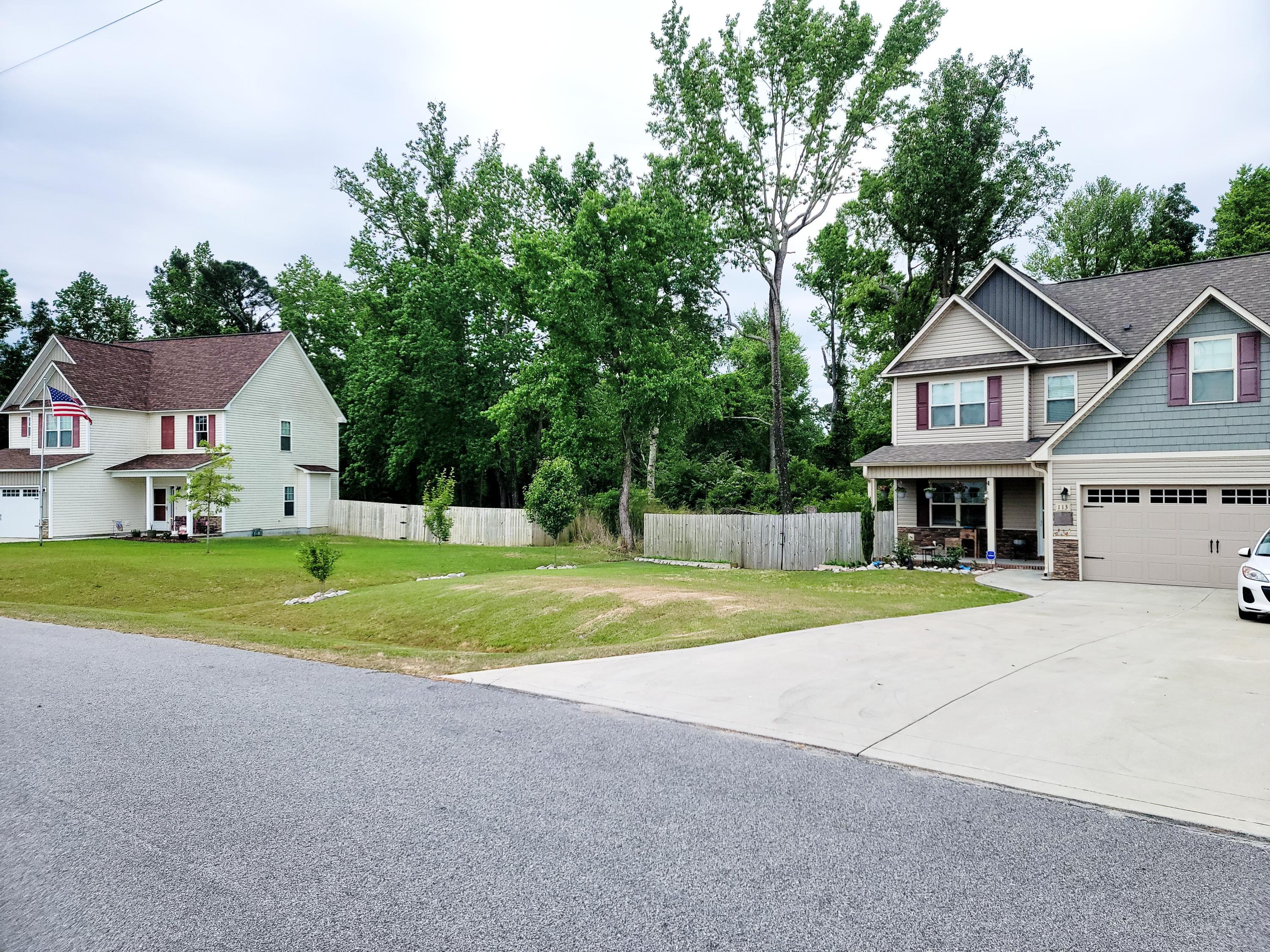 113 Chasity Way Hubert, NC 28539 - Photo 4 of 44 043