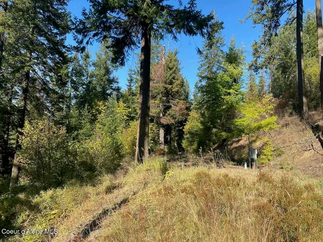 $144,000 | 8713 East Waxwing Way, St. Maries, ID 83861