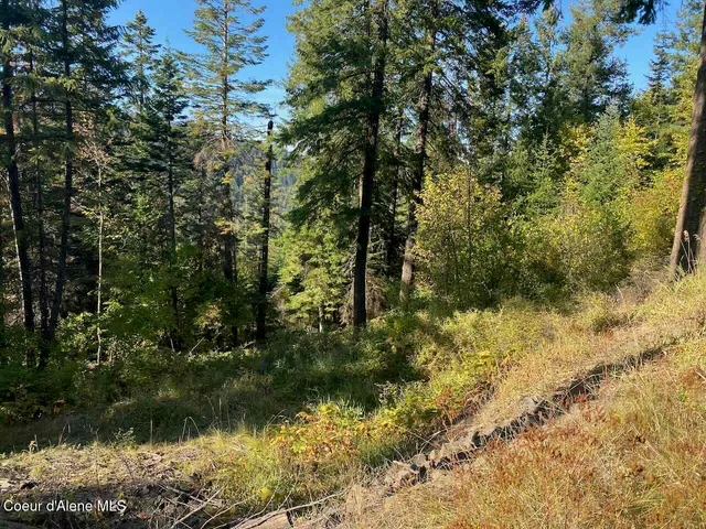 $144,000 | 8713 East Waxwing Way, St. Maries, ID 83861