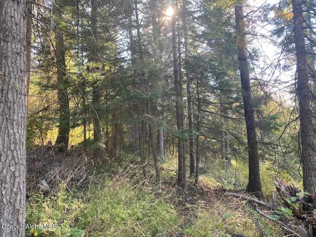 $144,000 | 8713 East Waxwing Way, St. Maries, ID 83861