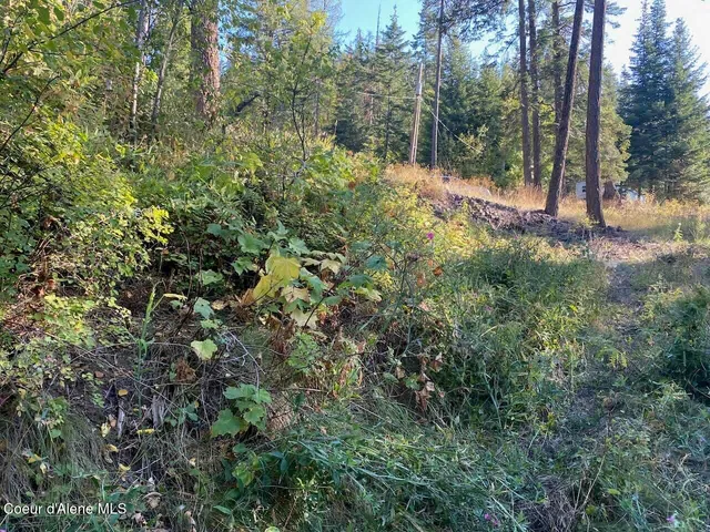 $144,000 | 8713 East Waxwing Way, St. Maries, ID 83861