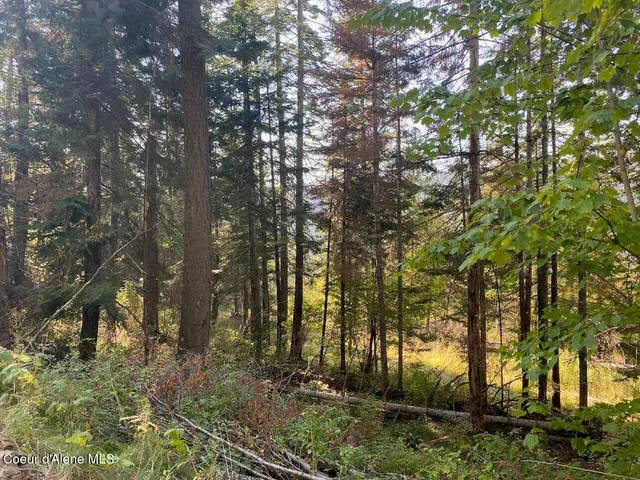 $144,000 | 8713 East Waxwing Way, St. Maries, ID 83861