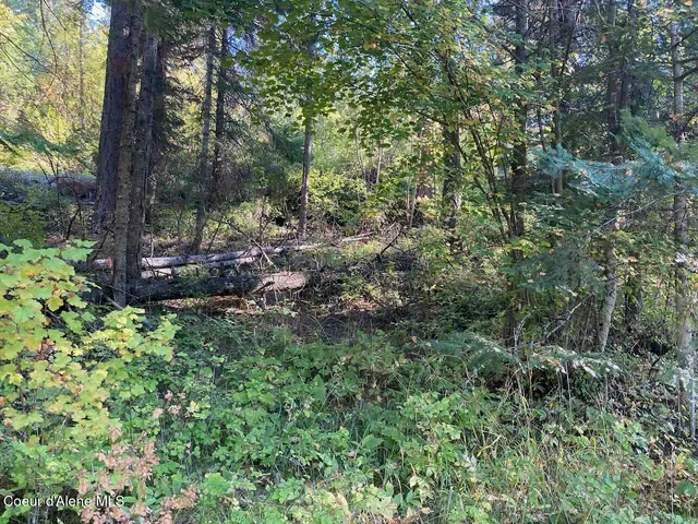 $144,000 | 8713 East Waxwing Way, St. Maries, ID 83861