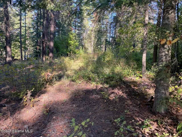 $144,000 | 8713 East Waxwing Way, St. Maries, ID 83861