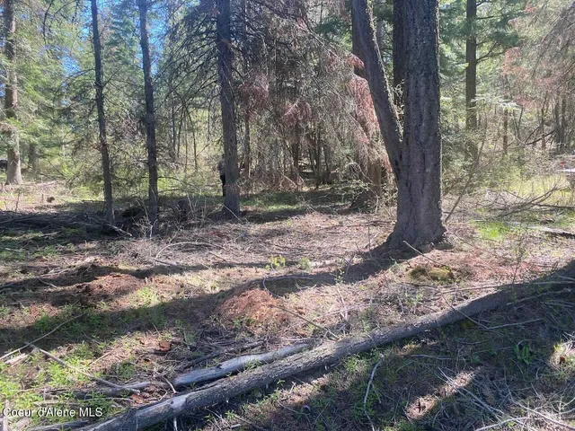 $144,000 | 8713 East Waxwing Way, St. Maries, ID 83861