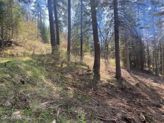 $144,000 | 8713 East Waxwing Way, St. Maries, ID 83861