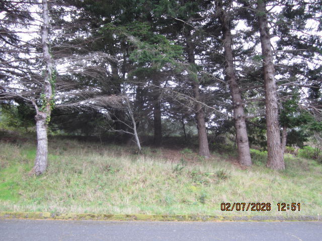 576 Ridge Road Shelter Cove, CA 95589 - Photo 19 of 22 Front