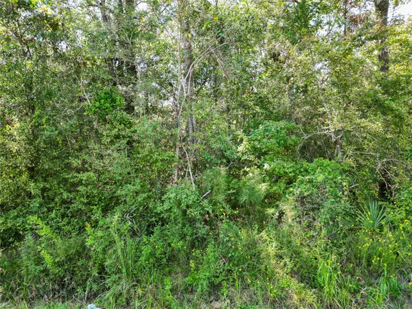 $795,000 | 3152 St Livingston Tx 77351, Livingston, TX 77351