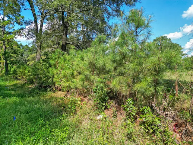 an aerial view of a houses with a lake view