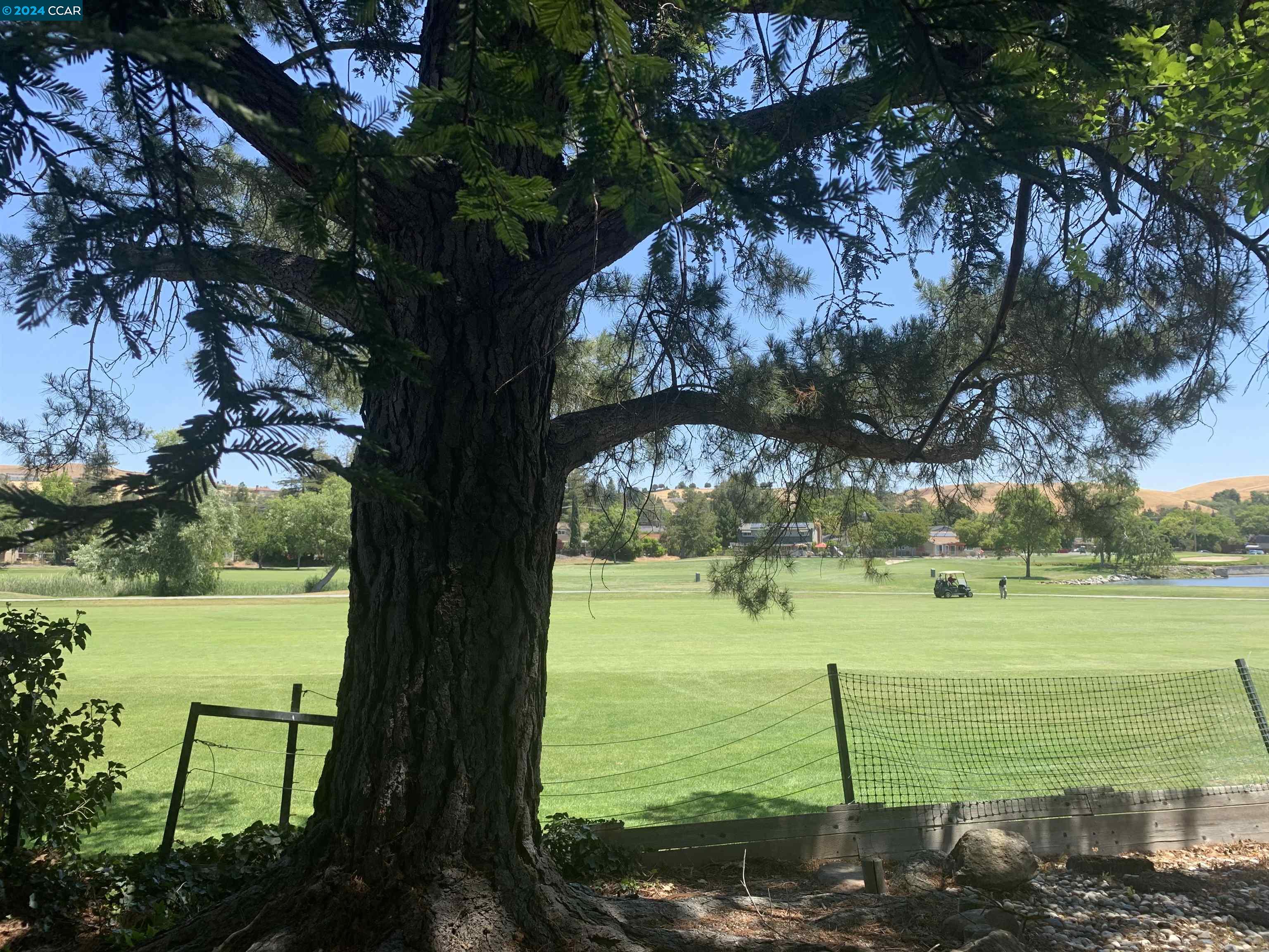 9462 Thunderbird Place San Ramon, CA 94583 - Photo 3 of 17 a view of an ocean from a yard