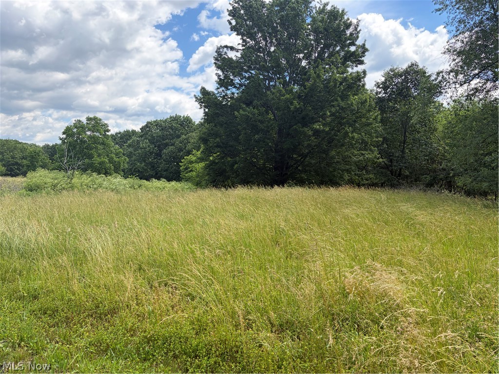 15441 Johnson Road Lisbon, OH 44432 - Photo 6 of 45 Expansive open field with natural grass and varied foliage