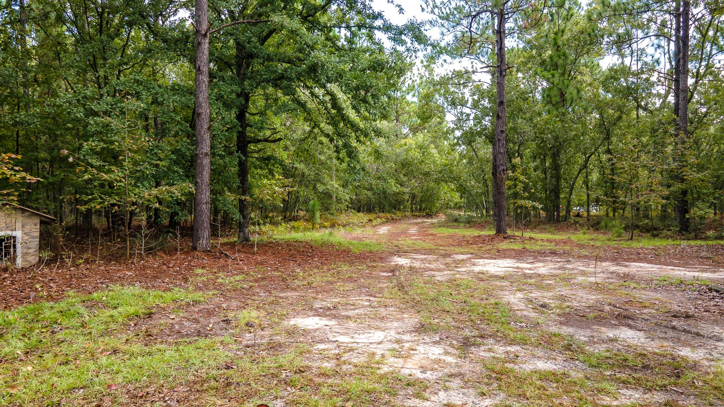 1023 Windsor Road Windsor, SC 29856 - Photo 7 of 13