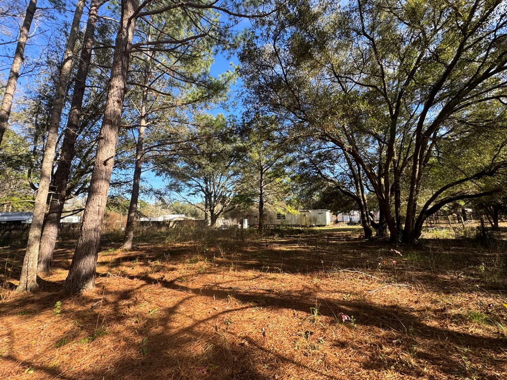 138 Grove Road Hartford, AL 36344 - Photo 9 of 15