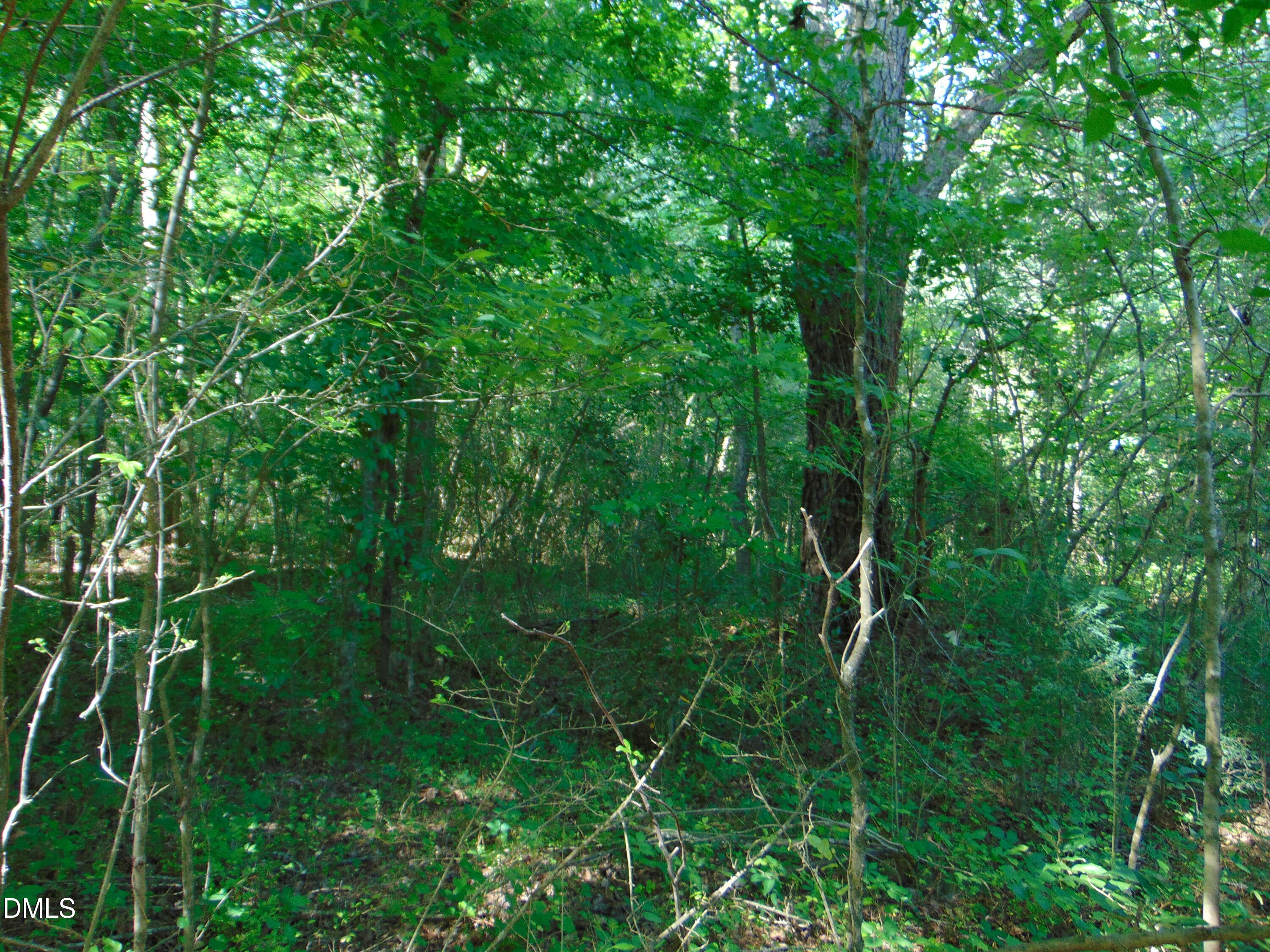 0 Big Woods Road Macon, NC 27551 - Photo 27 of 28