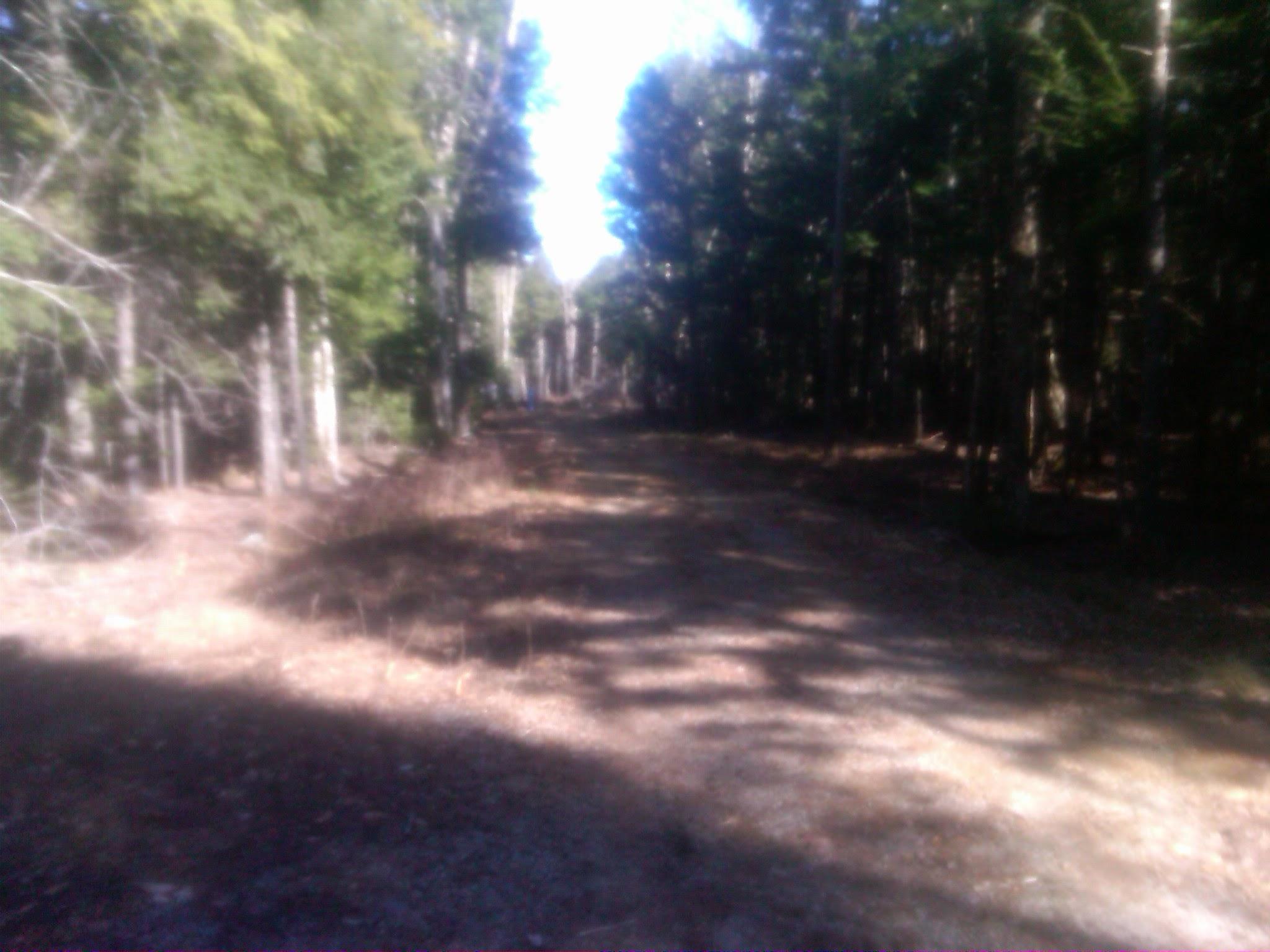 3 Heath Road Mariaville, ME 04605 - Photo 11 of 12 Mariaville-20120406-00539