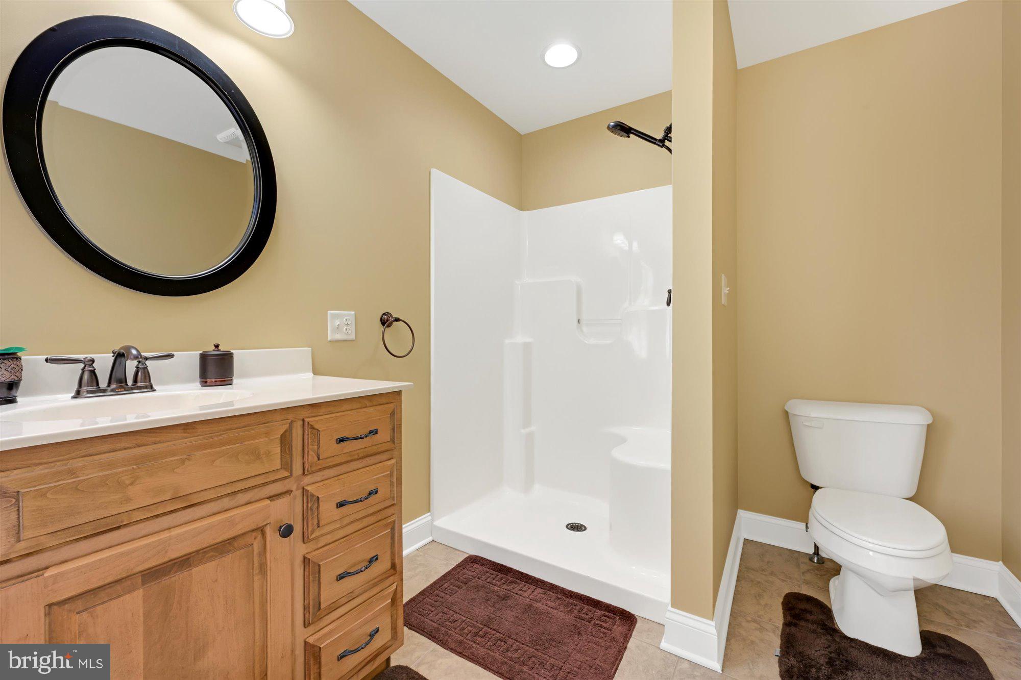 207 Mountain View Road Mount Holly Springs, PA 17065 - Photo 16 of 32 Primary Bath 2