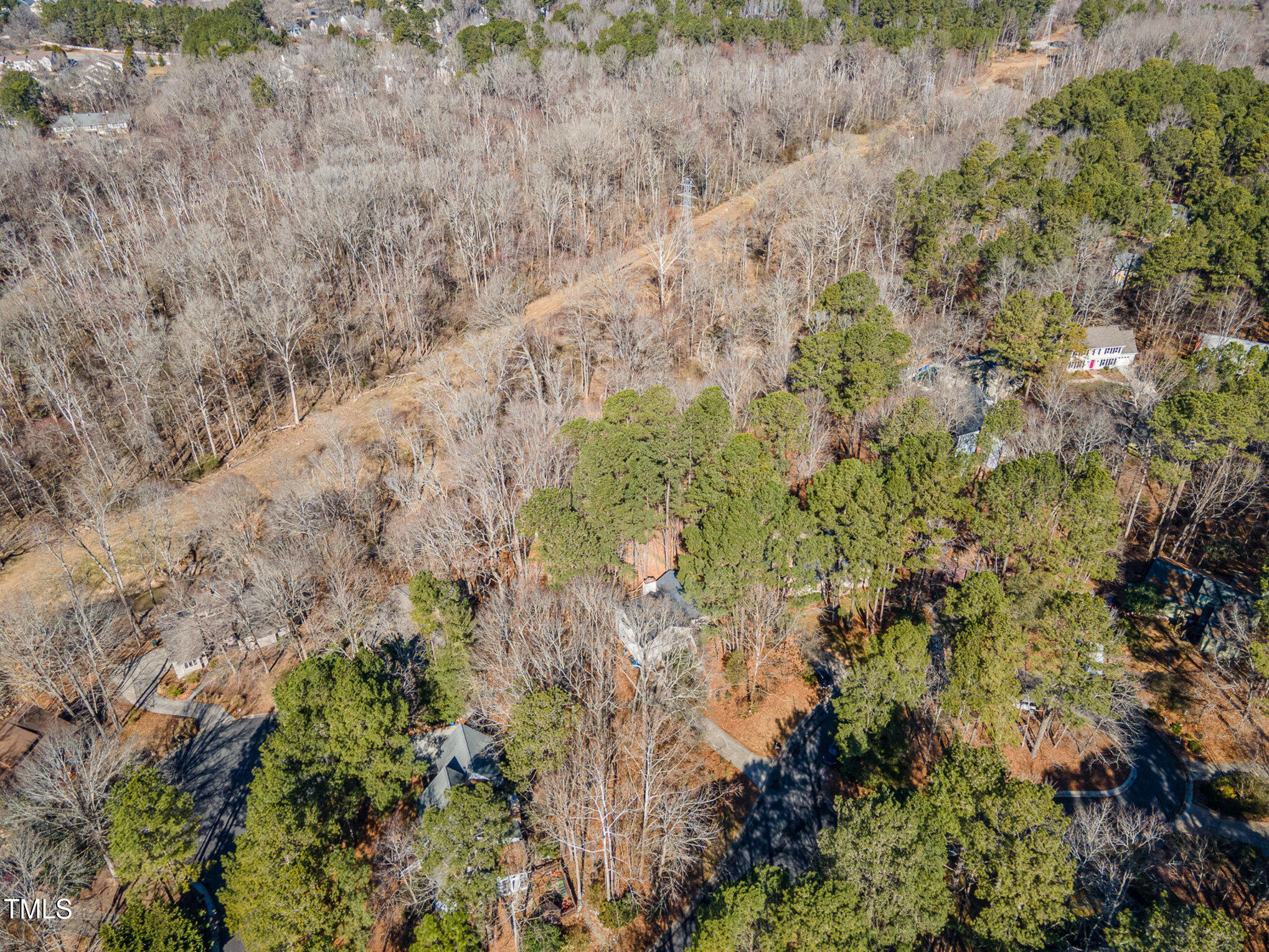 25 Sandstone Ridge Drive Durham, NC 27713 - Photo 26 of 33 a view of a lush green forest with large trees