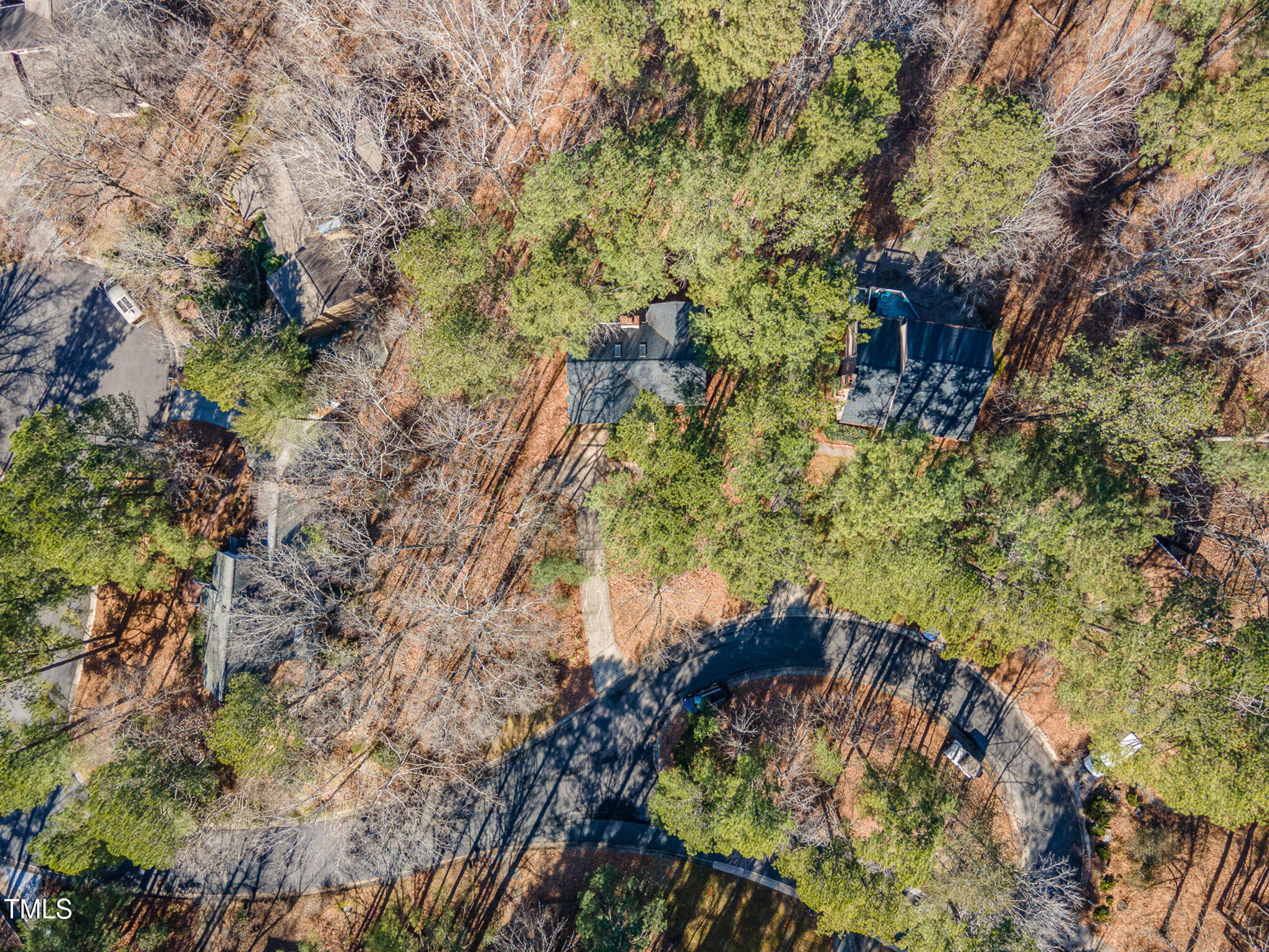 25 Sandstone Ridge Drive Durham, NC 27713 - Photo 27 of 33 a view of a forest with a tree