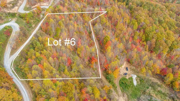 $45,000 | Tbd Purple Glory Drive, Duffield, VA 24244
