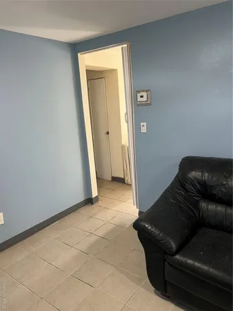 a living room with a couch and a potted plant