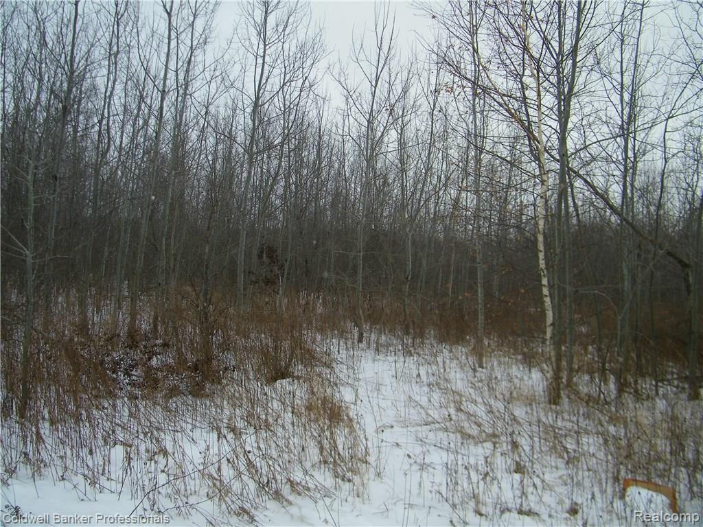 2-3 Burnside Rd Branch North Branch, MI 48461 - Photo 3 of 5