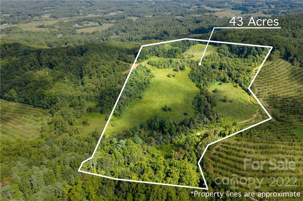 465 Good Looking Road Hendersonville, NC 28792 - Photo 1 of 17 a view of a yard