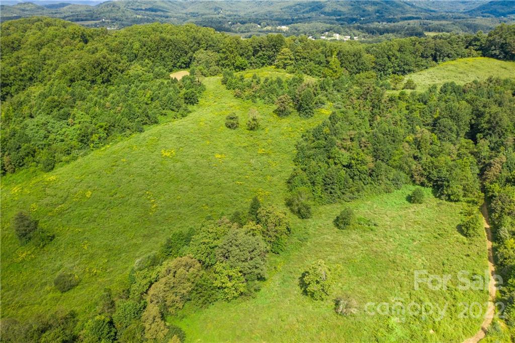 465 Good Looking Road Hendersonville, NC 28792 - Photo 11 of 17 a view of a garden