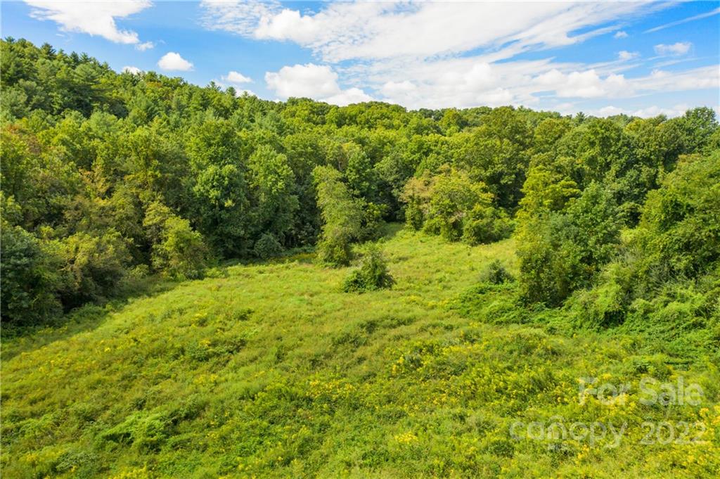 465 Good Looking Road Hendersonville, NC 28792 - Photo 12 of 17 a view of a green field