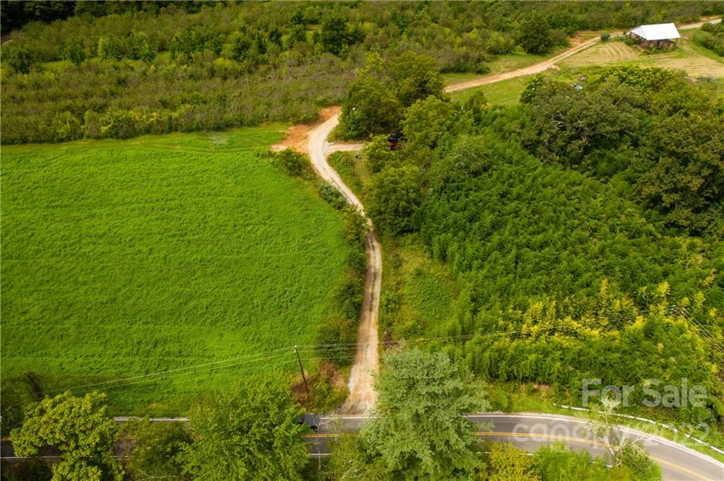 465 Good Looking Road Hendersonville, NC 28792 - Photo 15 of 17 a view of a big yard with large trees