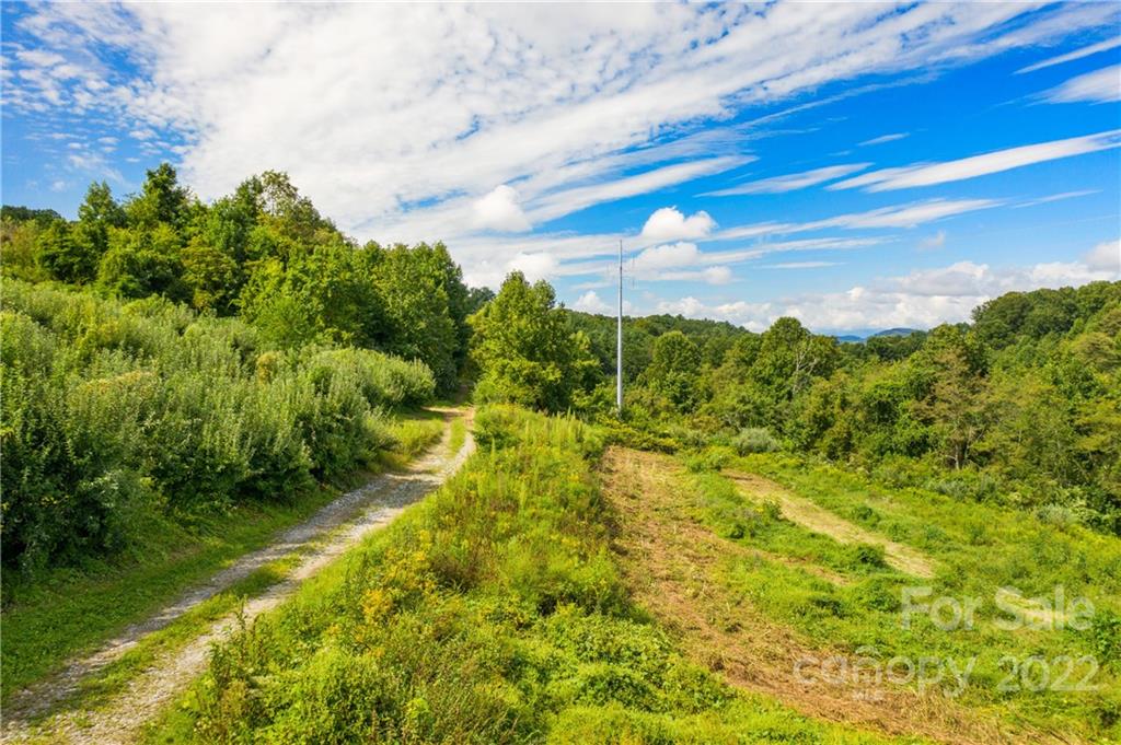 465 Good Looking Road Hendersonville, NC 28792 - Photo 16 of 17 a view of a yard with an tree
